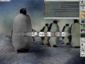 X Window on Linux